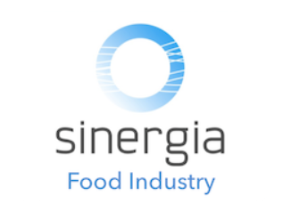 SINERGIA AUDITORES SL