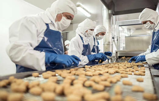 Manipulador de alimentos